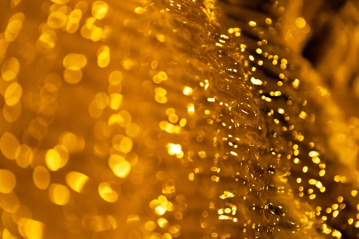 MCX Commodities to Watch Today: Gold, Crude Oil, and Base Metals in Focus on March 13, 2026